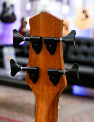 Gold Tone - Micro Bass 25'' Scale Fretless Cutaway Electric-Acoustic Bass 2